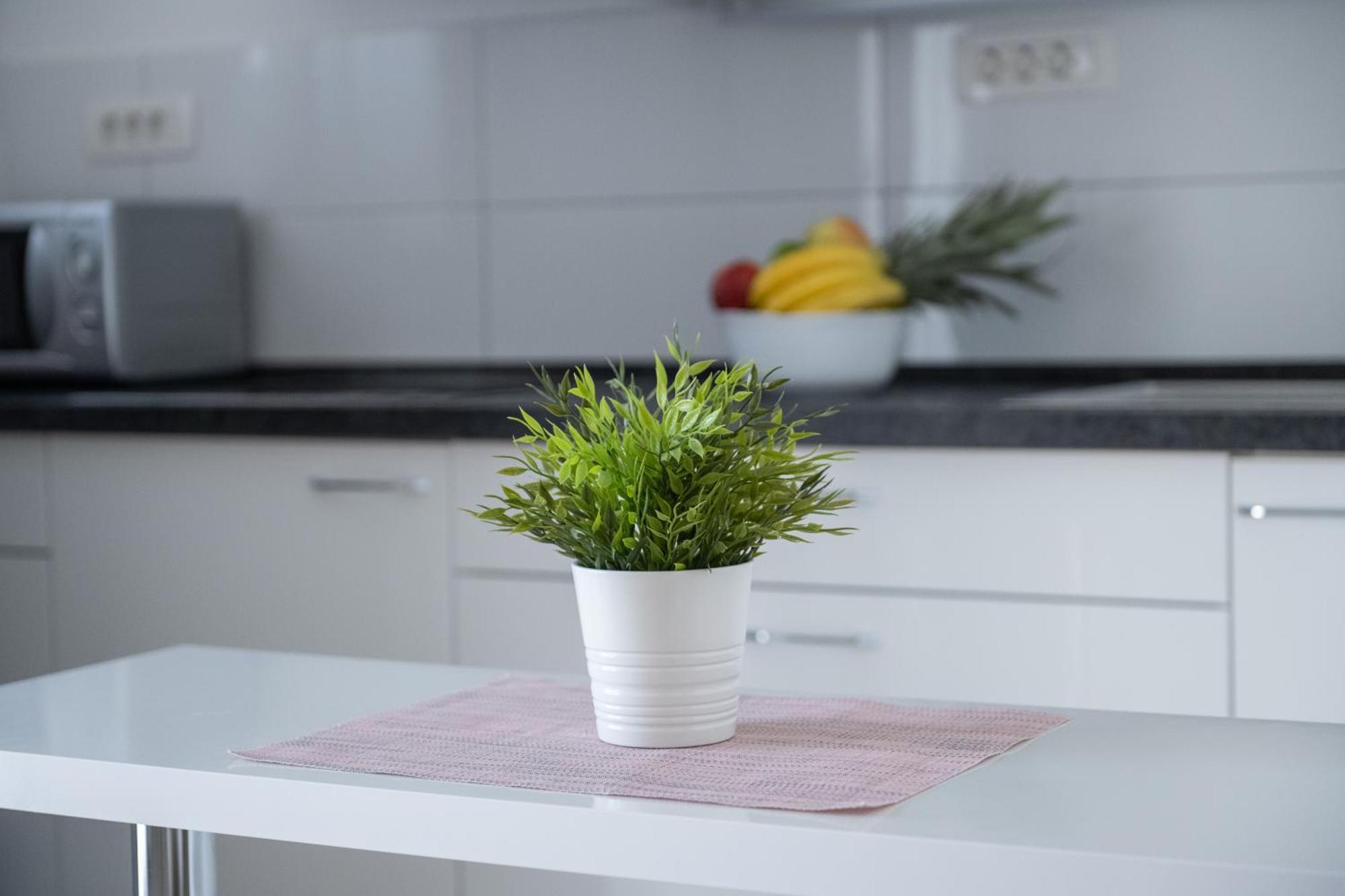 Rogač Apartments Solta מראה חיצוני תמונה
