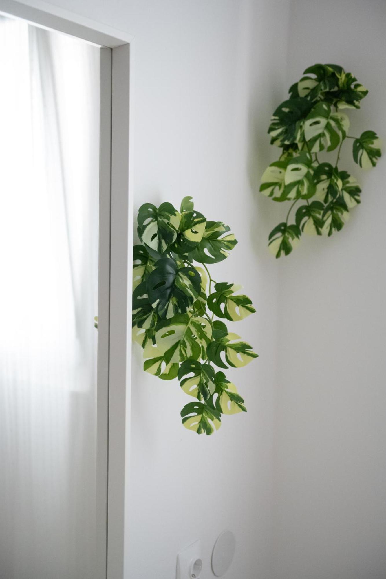 Rogač Apartments Solta מראה חיצוני תמונה